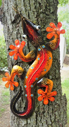 Gecko salamandre cm - ;salamandre, de