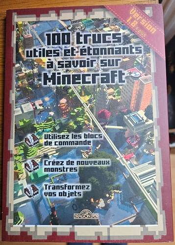 Minecraft livres 100 trucs