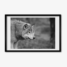 Tulup Photo 60x40cm Décor MDF