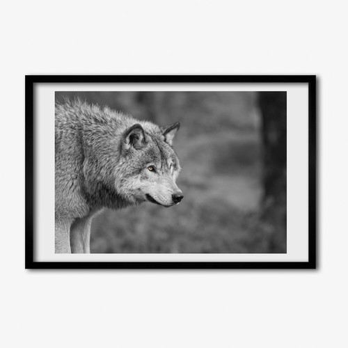 Tulup photo 60x40cm décor - tulup,