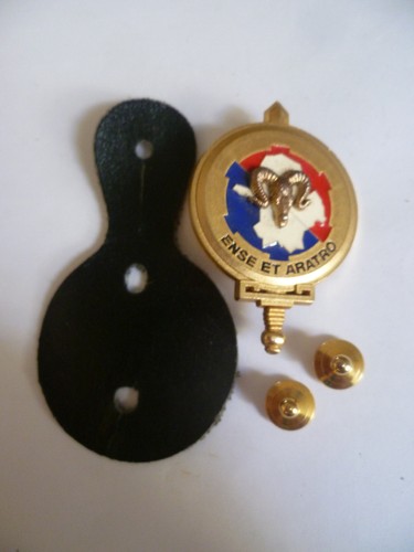 Ancien insigne pucelle - ancien,