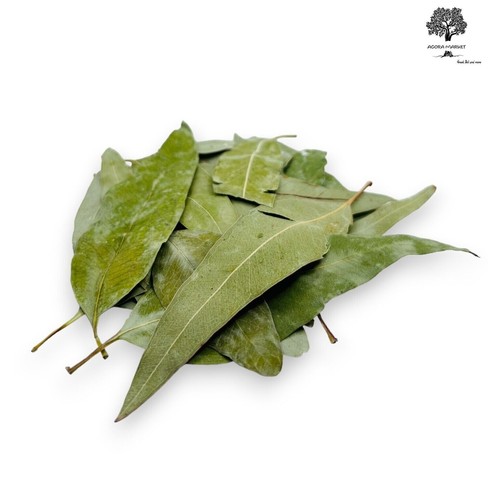Feuilles eucalyptus - feuilles, d'eucalyptus