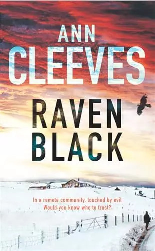 Raven black shetland - raven,