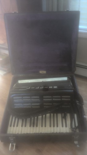 Vintage usa accordian black - accordian,