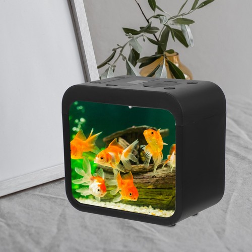 Aquarium bureau petit - ,
