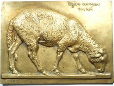 France Mouton BREBIS NORMANDE