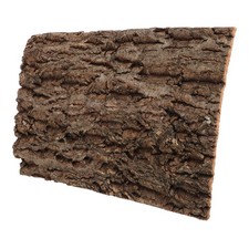  Fond Ecorce Liege Écorce De