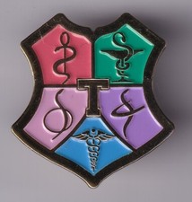 RARE PINS PIN'S .. ART