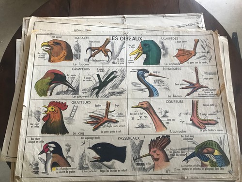 Ancienne affiche scolaire - affiche, an