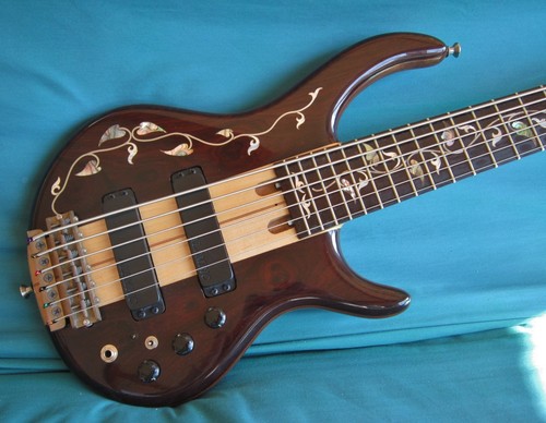 Mark campellone string - 6-string, bass