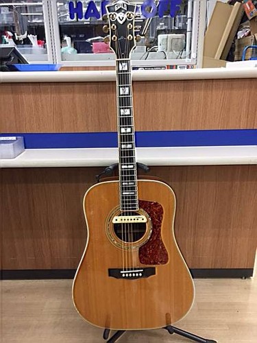Guitare acoustique guild d55 - guild,