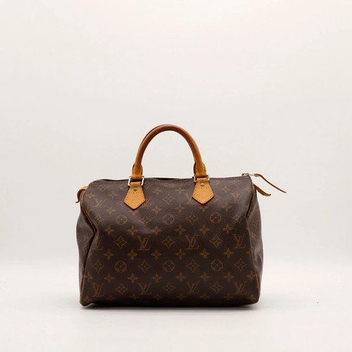 Sac main louis vuitton - main,