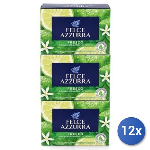 12x ensemble felce azzurra - ensemble,