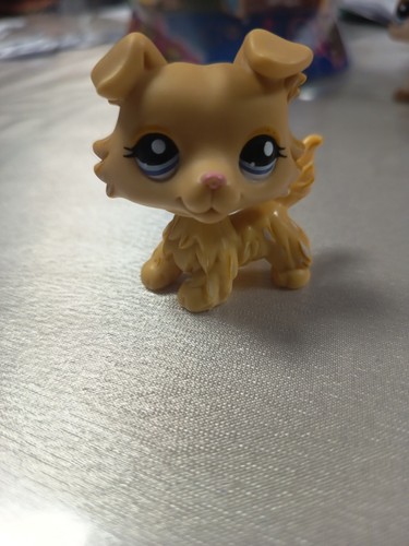 Hasbro lps petshop 1194 - hasbro, #1194