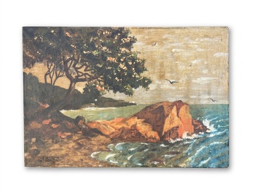 Tableau marine côte - , rocheuse