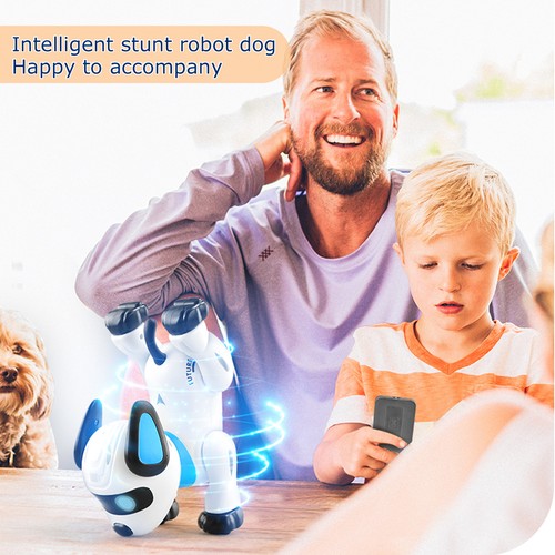 Neng k21 chien robot - k21,