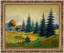 Paysage de Forêt Avec Sapin