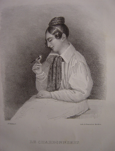 Lithographie chardonneret - lithographie,