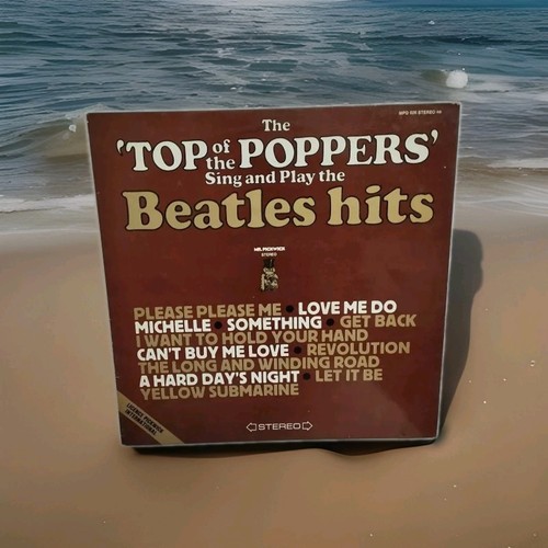 Tours vinyle the poppers - 33,