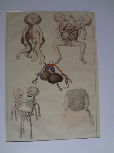 Ancienne gravure sciences - ancienne,