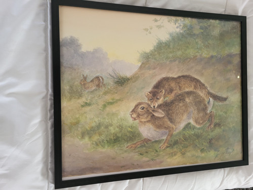 Chasse aquarelle lièvre et - chasse,