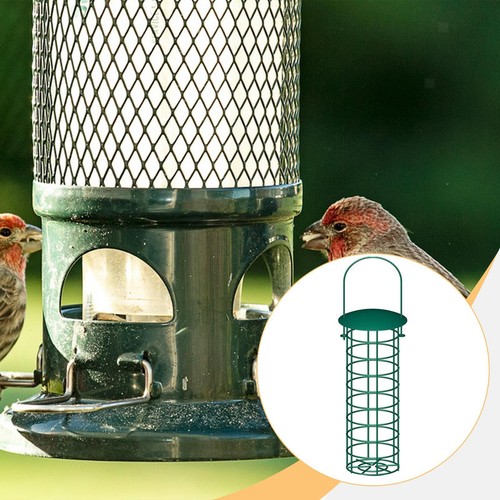 Mangeoire oiseaux suspendue - mangeoire, à