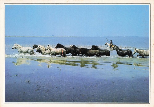 Saintes maries la mer - maries,