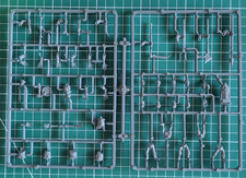 Warhammer Old world : 5