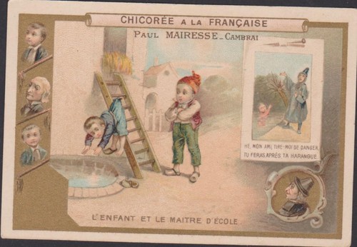 Chromo chicoree francaise - chicoree, la