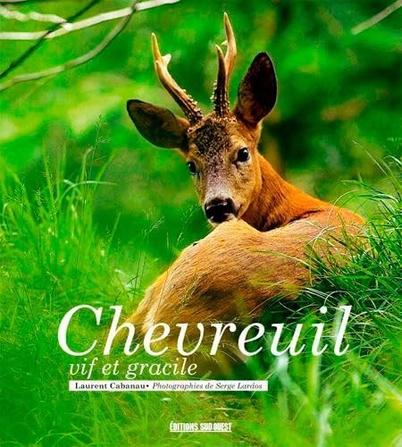 Chevreuil cabanau laurent - cabanau,