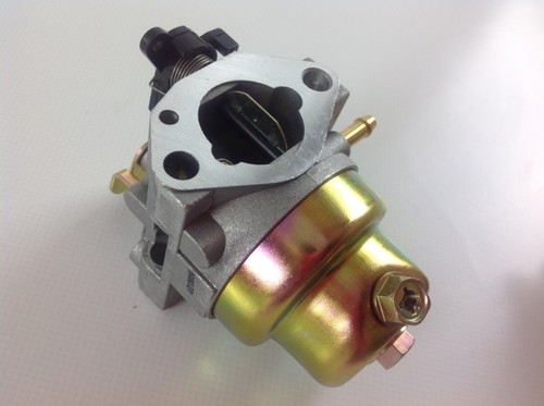 Carburateur moteur tondeuse - carburateur,