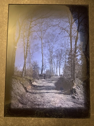 Grand autochrome 16 cm - 22,