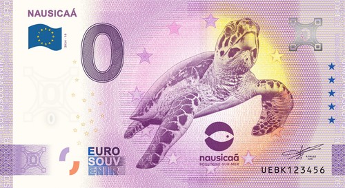Billet souvenir 2025 france - souvenir,