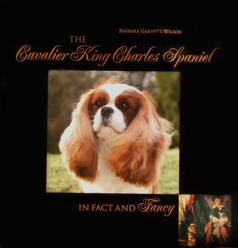 The cavalier king charles - cavalier,
