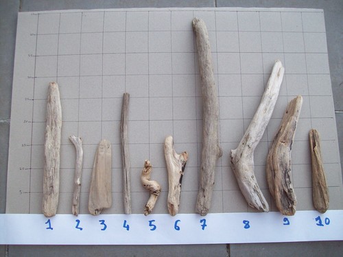 Lot morceaux de bois - lot,
