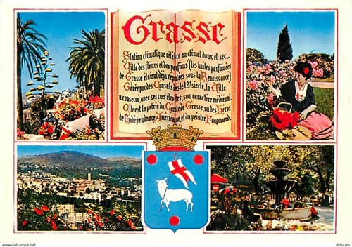 Postcard fat multivue - postcard,