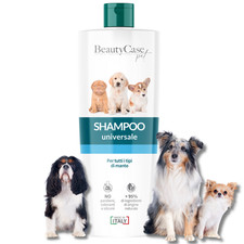 Beauty Case Shampooing
