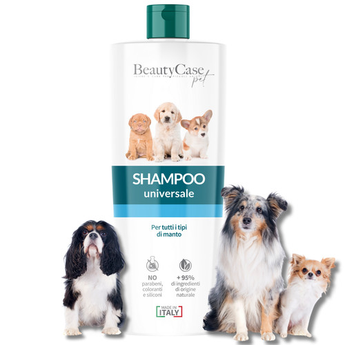 Beauty case shampooing - beauty,