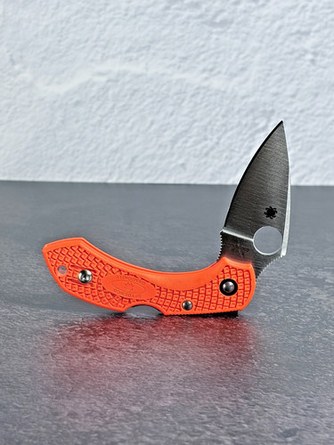 Spyderco dragonfly plain - dragonfly,