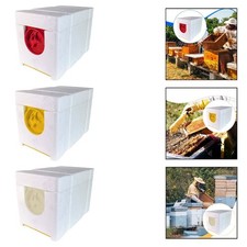 Boîte D'Élevage D'Abeilles