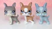 Authentic LITTLEST PETSHOP LPS 958 1079 857 boston terrier pet dog dog lot