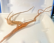 racine araignée mangrove  spider root souche bois 35+21cm R 7 decors aquarium