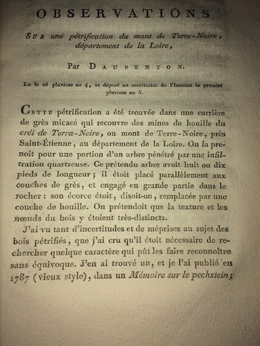 Daubenton sur une - daubenton,