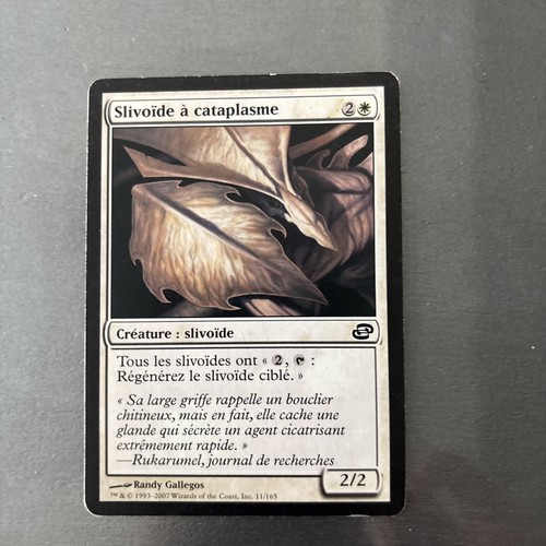 Carte magic the gathering - magic,
