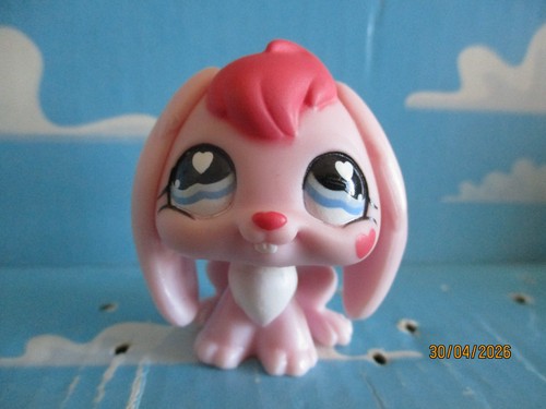 Petshop lapin belier 557 - lapin, /