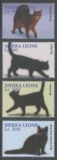 Sierra Leone 2004