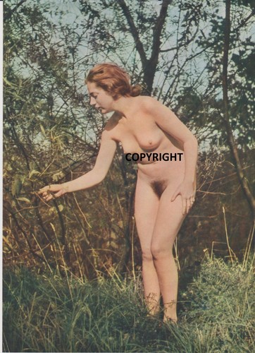 Vintage litho 30s kurt - vintage,