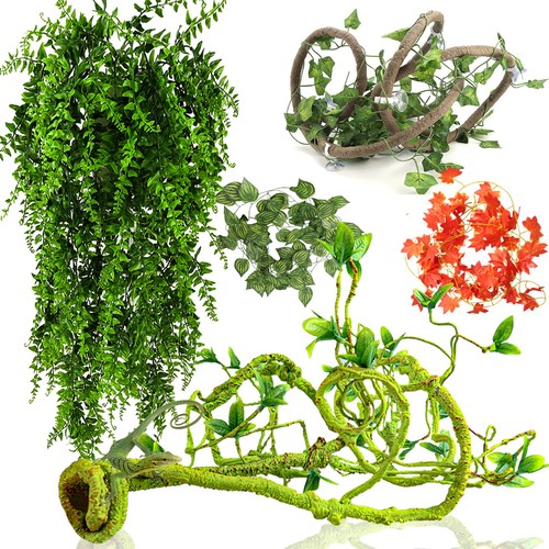Reptile vines plants - reptile,