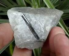 Schorl Tourmaline Quartz Beauchaud 6x4cm France mineral pierre collection reiki