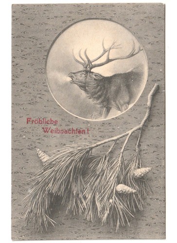 Non voyagee primi - primi'900, cerf